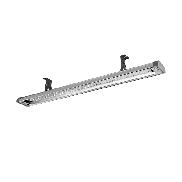 东升国际官网-钻营健全,你我一路成长