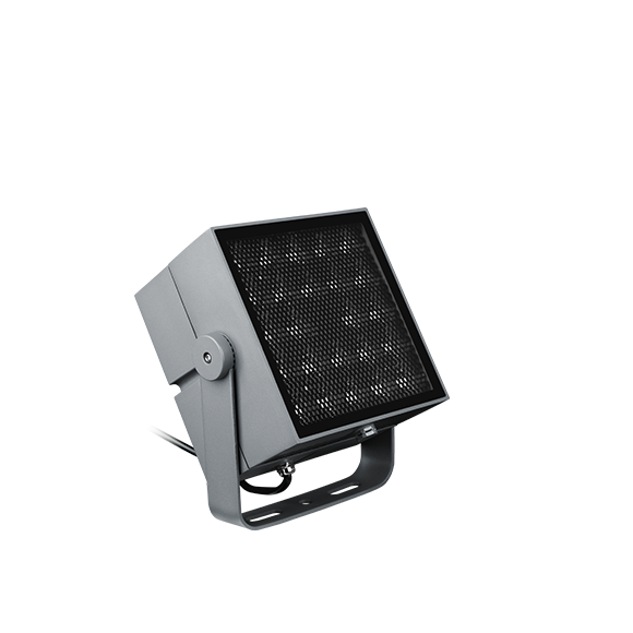 东升国际官网-钻营健全,你我一路成长