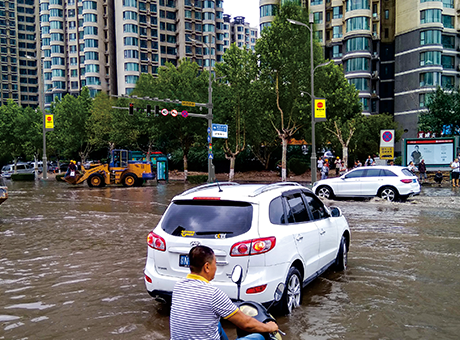 东升国际官网-钻营健全,你我一路成长